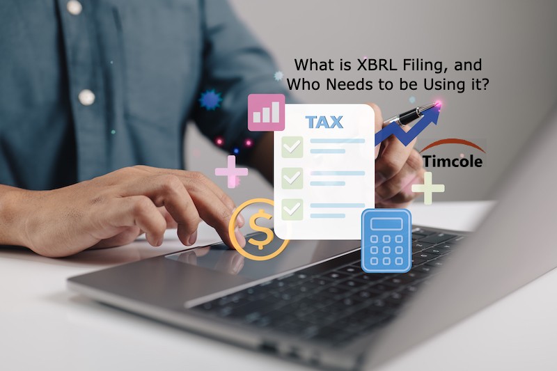 XBRL Filing